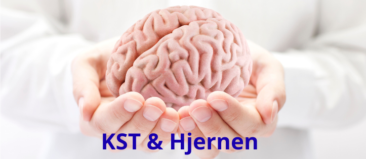 Kurs "Kraniosakralterapi og hjernen” med Anney Jørgensen