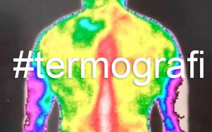 Termografi-bilde