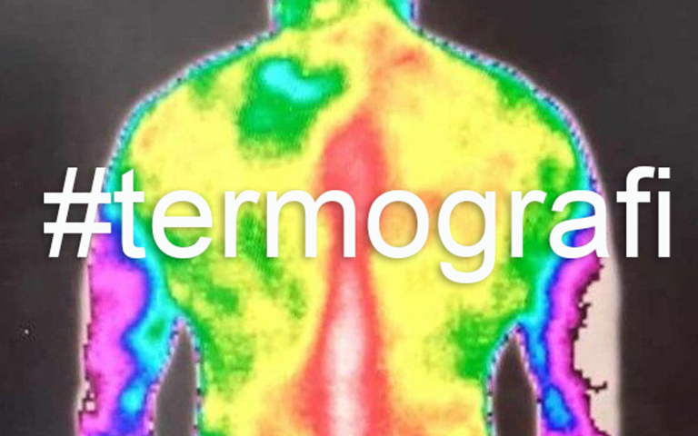 Termografi-bilde